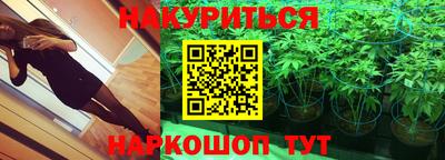 spice Кинель
