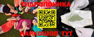 сатива Кимры