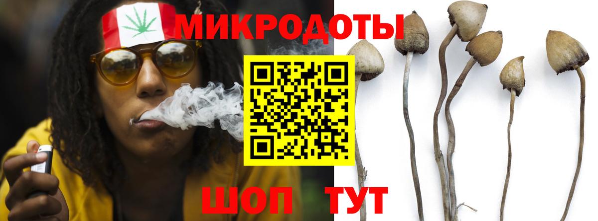 Галлюциногенные грибы GOLDEN TEACHER  Вход с VPN  Кубинка  закладка  Псилоцибиновые грибы ЛСД 